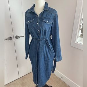 Gap Maternity denim dress